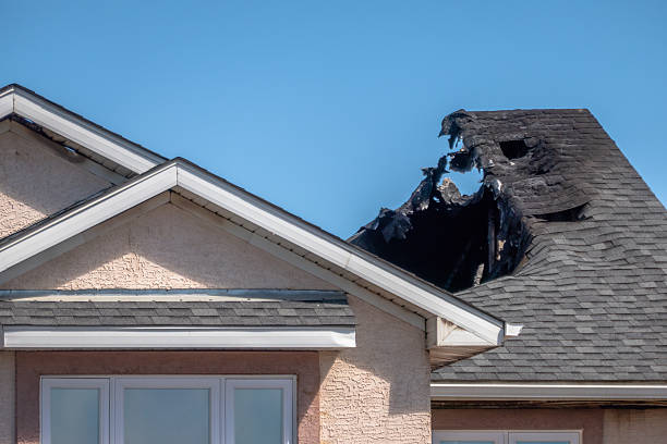 Top rated local Fire Damage Removal specialists in Turtle Lake, WI